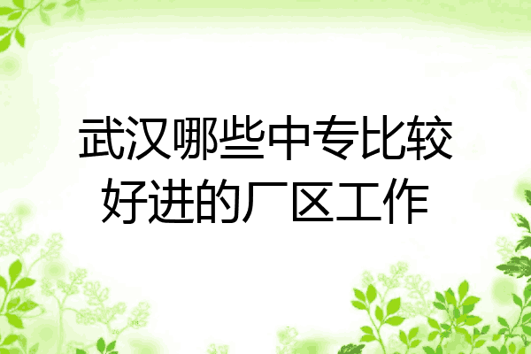 武汉哪些中专比较好进的厂区工作