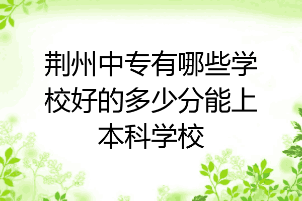 荆州中专有哪些学校好的多少分能上本科学校