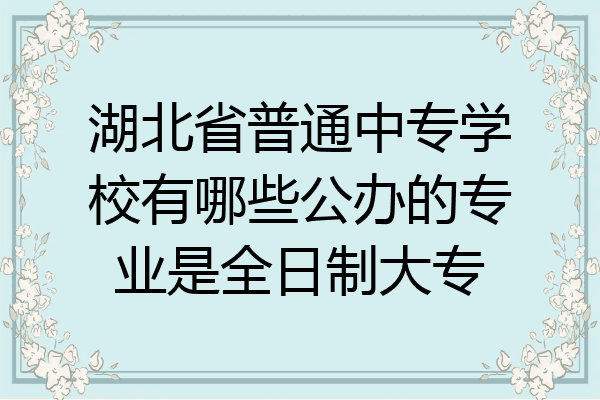 湖北省普通中专学校有哪些公办的专业是全日制大专