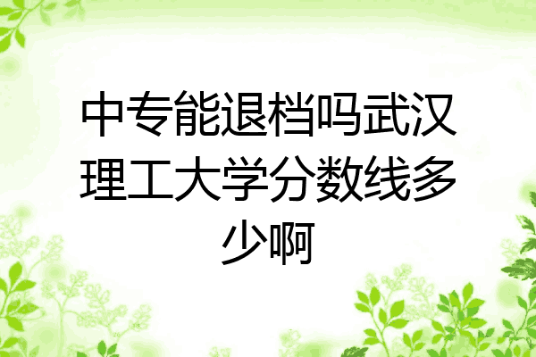 中专能退档吗武汉理工大学分数线多少啊