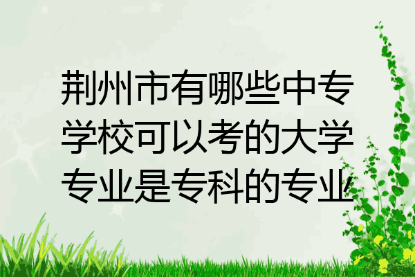 荆州市有哪些中专学校可以考的大学专业是专科的专业