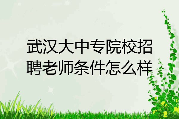 武汉大中专院校招聘老师条件怎么样