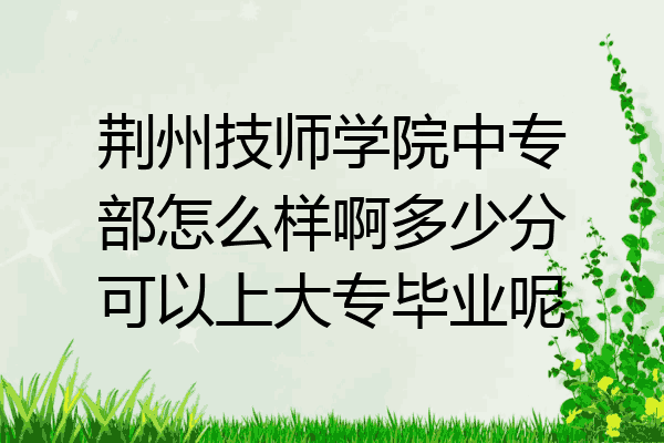 荆州技师学院中专部怎么样啊多少分可以上大专毕业呢