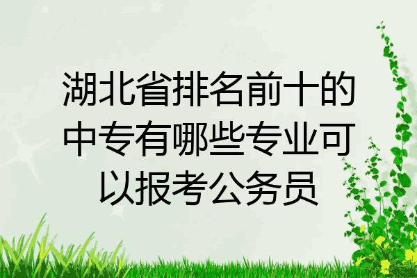 湖北省排名前十的中专有哪些专业可以报考公务员