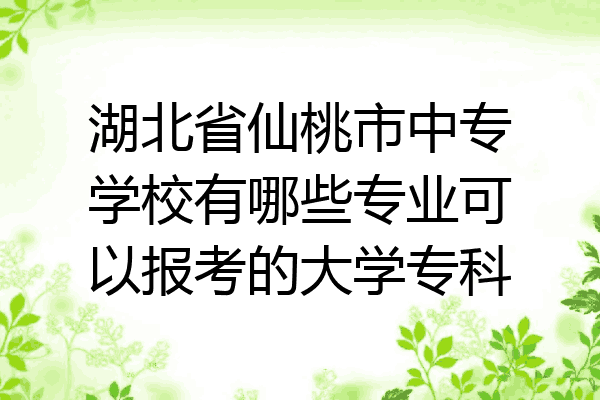 湖北省仙桃市中专学校有哪些专业可以报考的大学专科