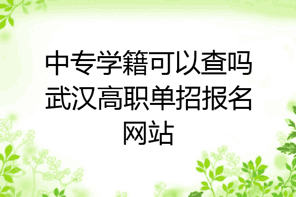 中专学籍可以查吗武汉高职单招报名网站