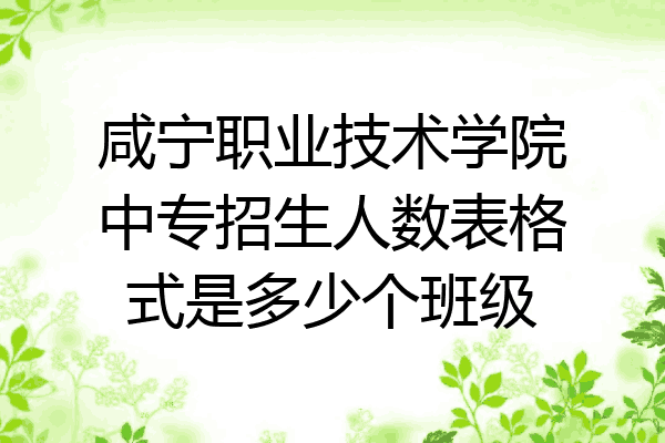 咸宁职业技术学院中专招生人数表格式是多少个班级