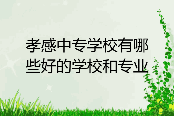 孝感中专学校有哪些好的学校和专业