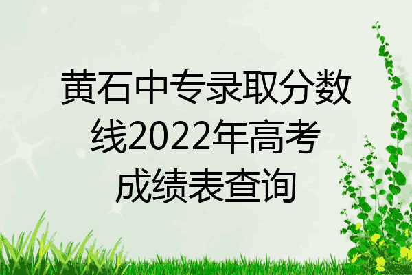 黄石中专录取分数线2022年高考成绩表查询