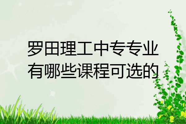 罗田理工中专专业有哪些课程可选的