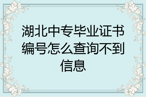 湖北中专毕业证书编号怎么查询不到信息