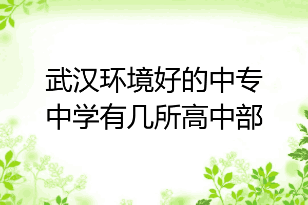 武汉环境好的中专中学有几所高中部
