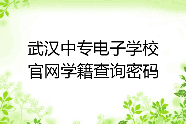 武汉中专电子学校官网学籍查询密码