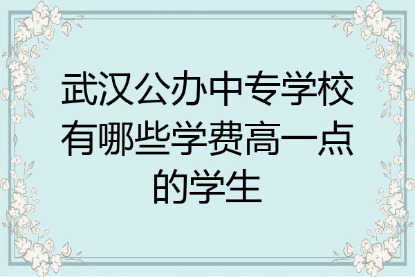 武汉公办中专学校有哪些学费高一点的学生