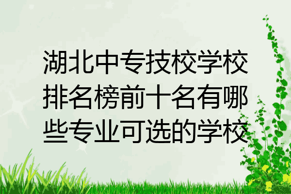湖北中专技校学校排名榜前十名有哪些专业可选的学校