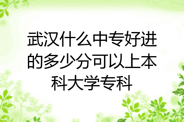 武汉什么中专好进的多少分可以上本科大学专科