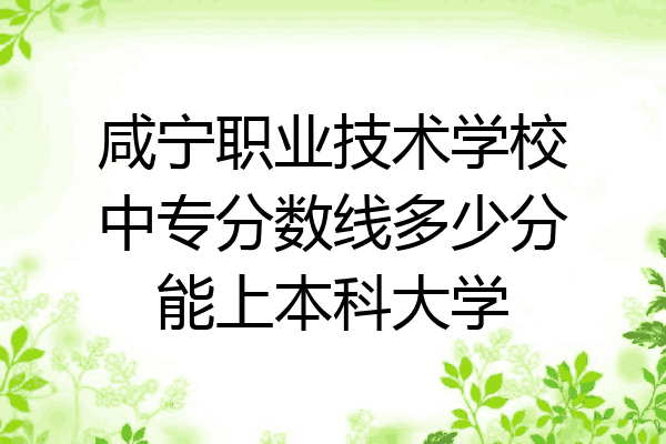 咸宁职业技术学校中专分数线多少分能上本科大学