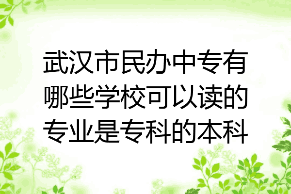 武汉市民办中专有哪些学校可以读的专业是专科的本科