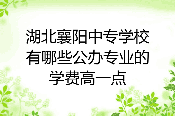 湖北襄阳中专学校有哪些公办专业的学费高一点