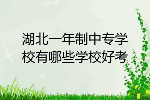 湖北一年制中专学校有哪些学校好考