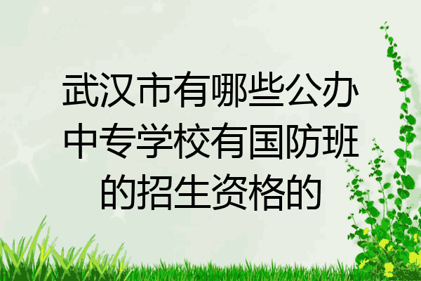 武汉市有哪些公办中专学校有国防班的招生资格的