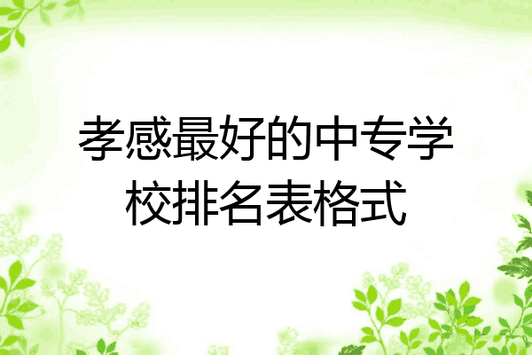 孝感最好的中专学校排名表格式