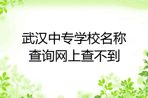 武汉中专学校名称查询网上查不到