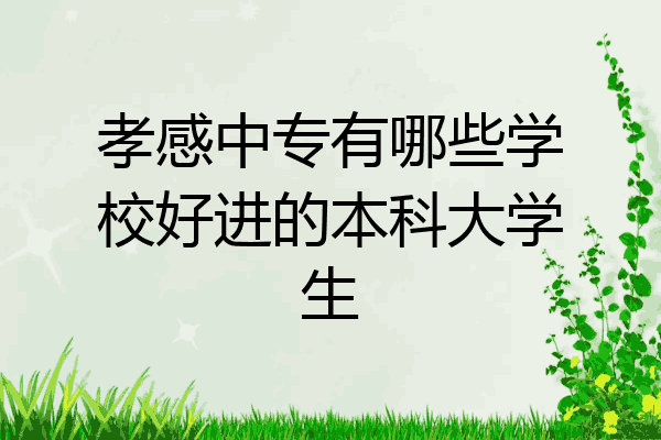 孝感中专有哪些学校好进的本科大学生