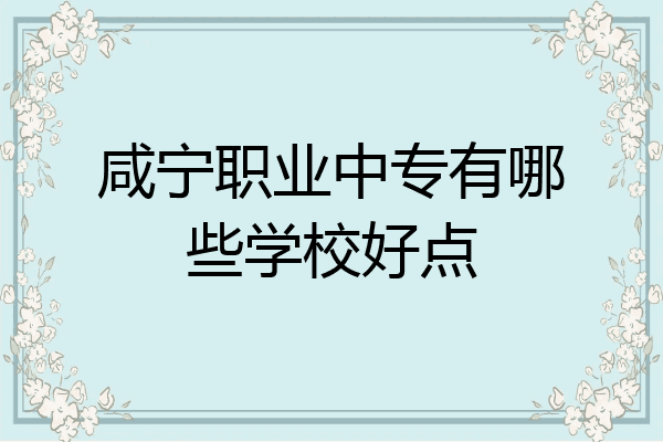 咸宁职业中专有哪些学校好点