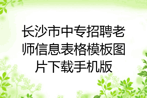 长沙市中专招聘老师信息表格模板图片下载手机版