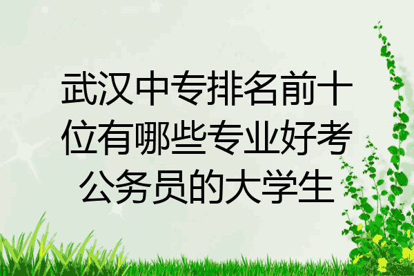 武汉中专排名前十位有哪些专业好考公务员的大学生