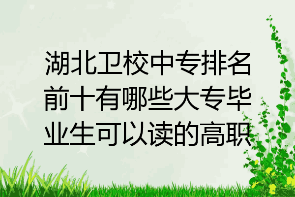 湖北卫校中专排名前十有哪些大专毕业生可以读的高职
