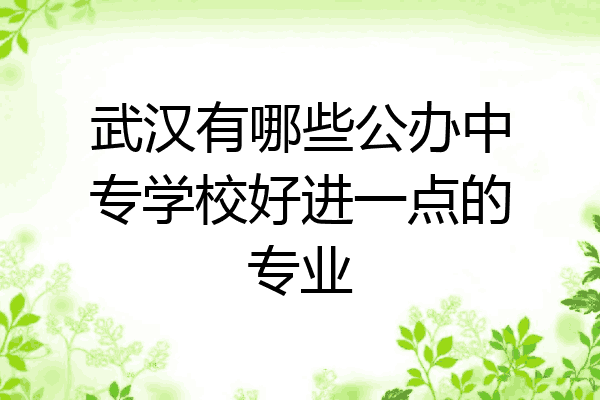 武汉有哪些公办中专学校好进一点的专业