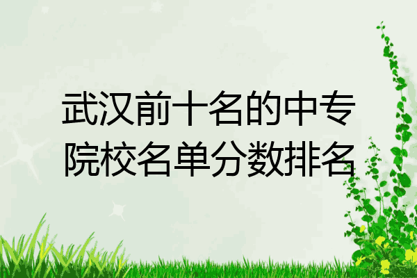 武汉前十名的中专院校名单分数排名