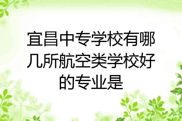 宜昌中专学校有哪几所航空类学校好的专业是