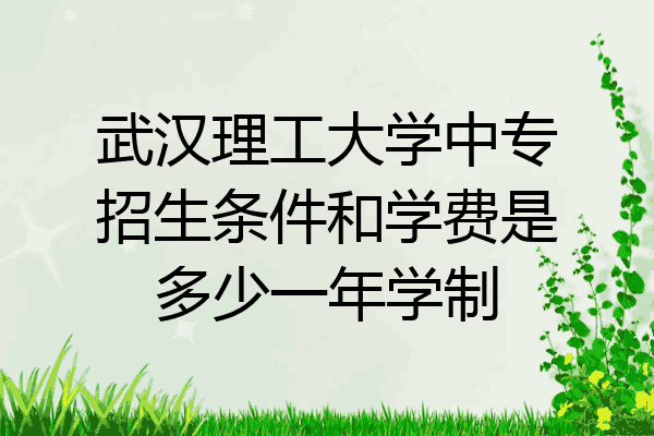 武汉理工大学中专招生条件和学费是多少一年学制