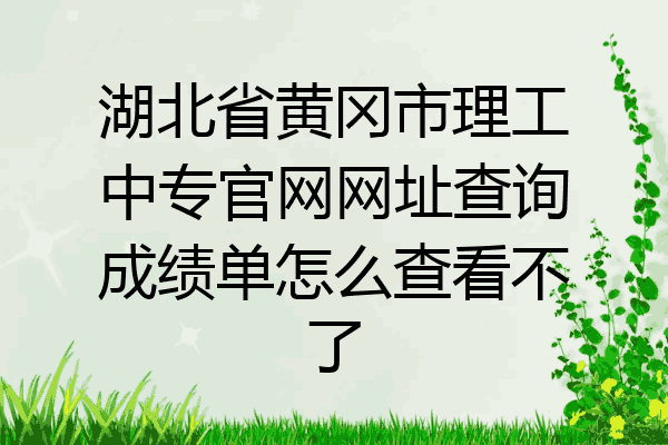 湖北省黄冈市理工中专官网网址查询成绩单怎么查看不了