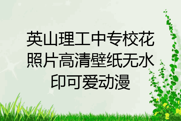 英山理工中专校花照片高清壁纸无水印可爱动漫