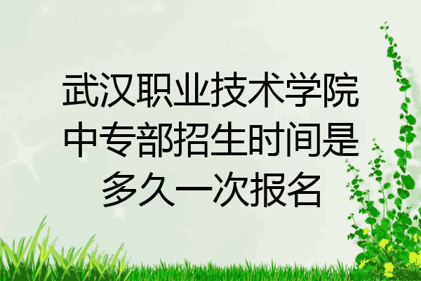 武汉职业技术学院中专部招生时间是多久一次报名
