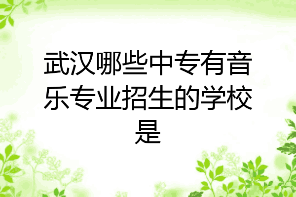 武汉哪些中专有音乐专业招生的学校是
