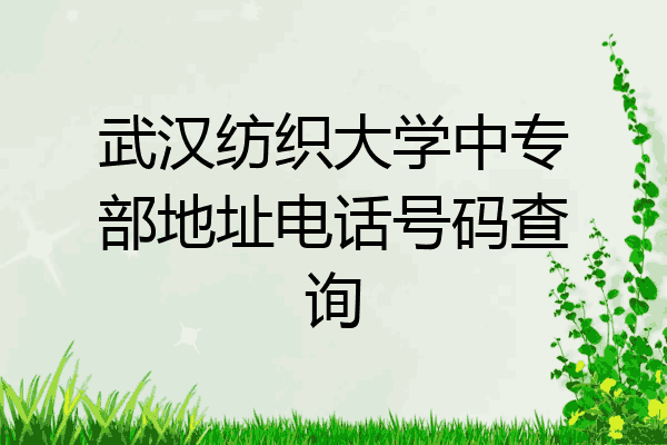 武汉纺织大学中专部地址电话号码查询