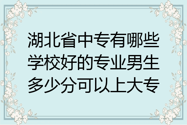 湖北省中专有哪些学校好的专业男生多少分可以上大专