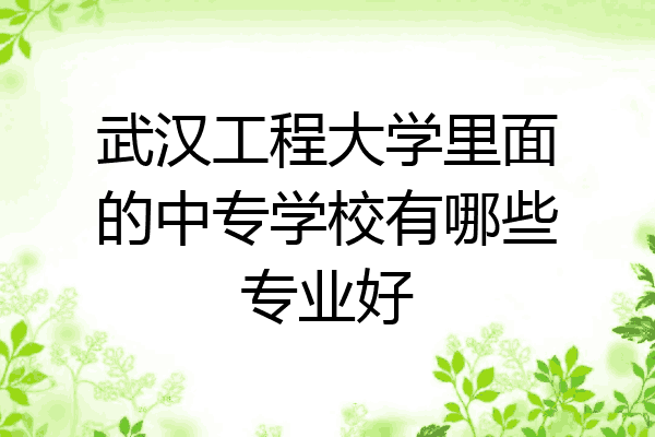 武汉工程大学里面的中专学校有哪些专业好