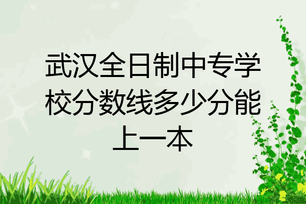 武汉全日制中专学校分数线多少分能上一本