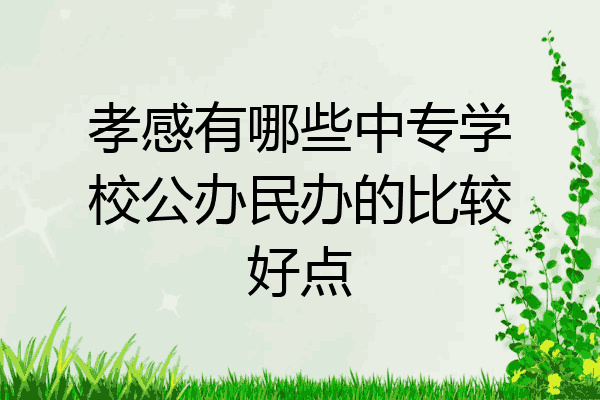 孝感有哪些中专学校公办民办的比较好点