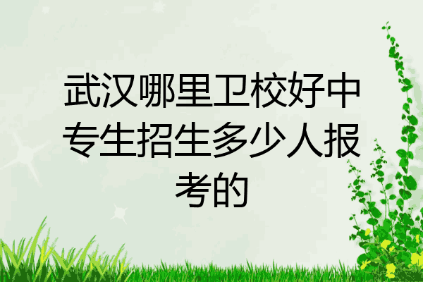 武汉哪里卫校好中专生招生多少人报考的