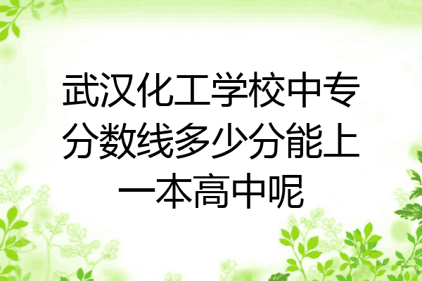 武汉化工学校中专分数线多少分能上一本高中呢