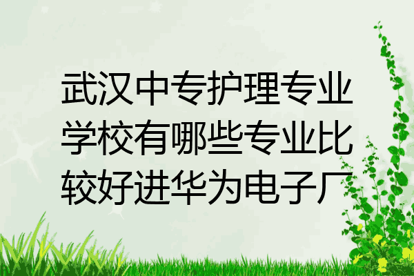 武汉中专护理专业学校有哪些专业比较好进华为电子厂