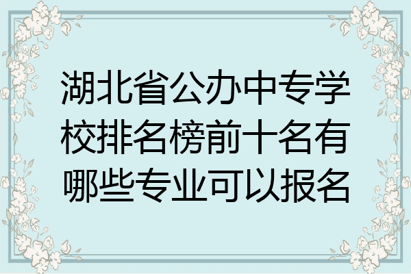 湖北省公办中专学校排名榜前十名有哪些专业可以报名