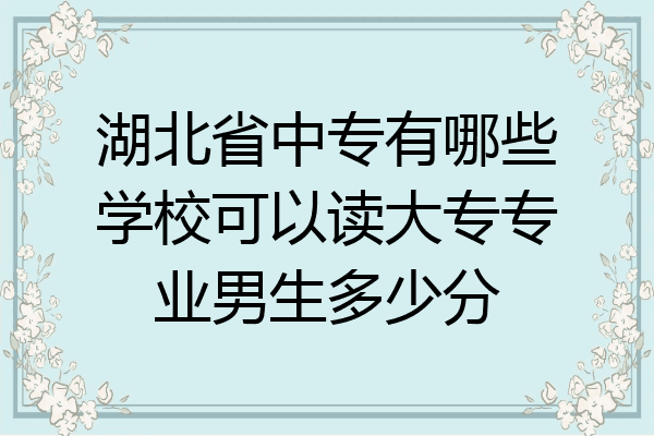 湖北省中专有哪些学校可以读大专专业男生多少分